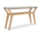 SAFAVIEH Babette Indoor/Outdoor Console Table