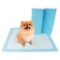 UP&UP Dog Training Pads Large
