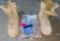 Militar Shirt & Boots
