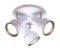 Westinghouse Ceiling Light Fixture