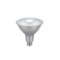 EcoSmart 120-Watt Equivalent PAR38 Dimmable Flood LED Light Bulb Daylight (2-Pack)