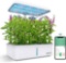 Domccy WiFi 14 Pods Hydroponics Growing System, Indoor Herb Garden with Grow Light, Smart Indoor