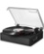 Donner Vinyl Record Player