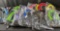 Lot of Pet Items