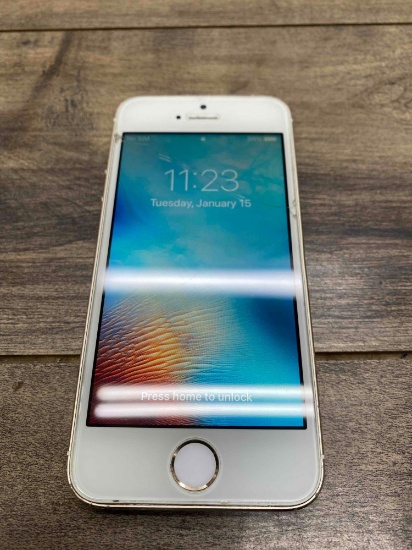 Apple iPhone 5s
