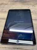 iPad Mini