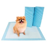 UP&UP Dog Training Pads Large
