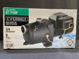 Shallow Well Jet Pump by Everbilt