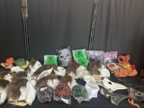 Lot of Halloween Costumes