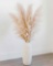 BROGIES Natural Dried Pampas Grass