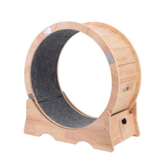 Cat Wheel, Cat Treadmill