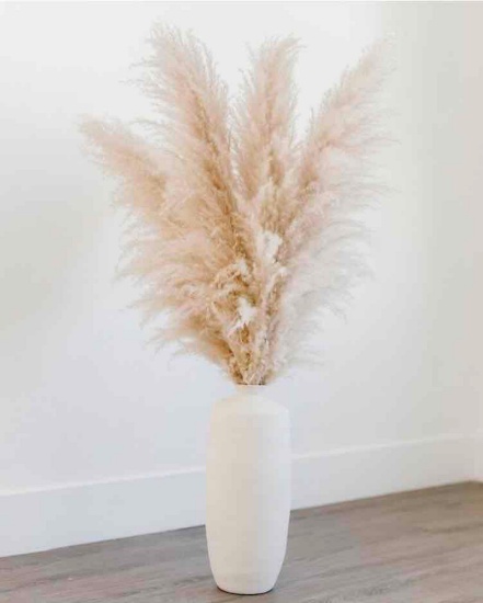 BROGIES Natural Dried Pampas Grass