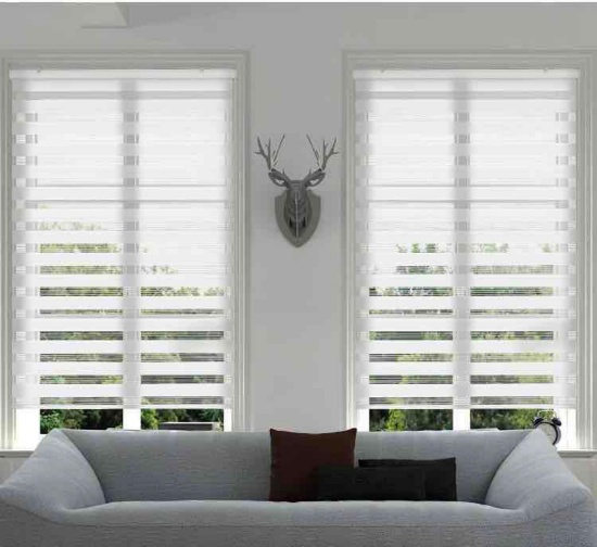 Bliwans Zebra Roller Shades 31?X64?