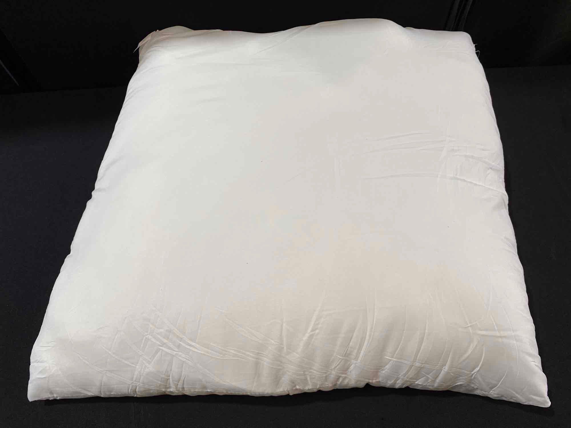 2 EDOW Throw Pillow Inserts Size 28 x 28