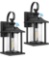2-Pack Dusk to Dawn Sensor Outdoor Wall Lantern