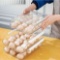 Rubtlamp Clear Egg Holder for Refrigerator