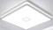 LED Ceiling Light Fixtures Flush Mount