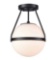 Semi Flush Mount Ceiling Light