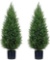 Two 3ft (35'') Artificial Cedar Topiary Trees Indoor Outdoor