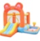 Doctor Dolphin Inflatable Bounce House Slide Bear Theme
