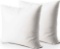 EDOW Throw Pillow Insert Set of 2