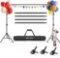 605 X 10 ft Backdrop Stand