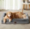 BFPETHOME Sofa Dog Beds for Large Dogs