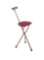 Cane with Seat Portable Stool Walking Sticks for Seniors
