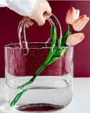 Clear Glass Bag vase