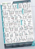 EverStretch Resistance Band Poster for Home Gym