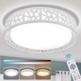 Modern Dimmable Ceiling Light with Remote