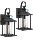 2-Pack Dusk to Dawn Sensor Outdoor Wall Lantern