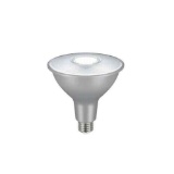 EcoSmart 120-Watt Equivalent PAR38 Dimmable Flood LED Light Bulb Daylight (2-Pack)