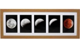 8x24 Collage Natural Gallery Picture Frame