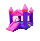 Doctor Dolphin Inflatable Pink Castle House