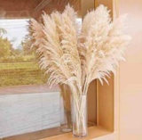 10 Stems Natural Decor Tall
