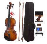 Cecilio Solidwood Ebony Fitted Violin