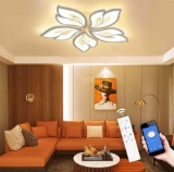 Modern Ceiling Light with Remote Control