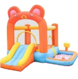 Doctor Dolphin Inflatable Bounce House Slide Bear Theme