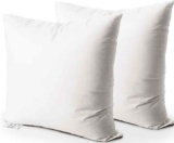 EDOW Throw Pillow Insert Set of 2
