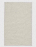 6x8 Indoor/Outdoor MULTIPURPOSE RUG