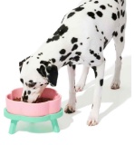 VETRESKA Ceramic Raised Dog Bowl Elevated Dog Bowl for Large Medium Small Dogs Cute Food and Water