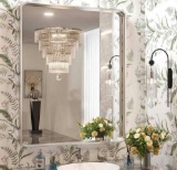 TokeShimi 30 x 36 Brushed Silver Bathroom Mirror