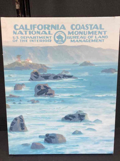 Paint of California Coastal