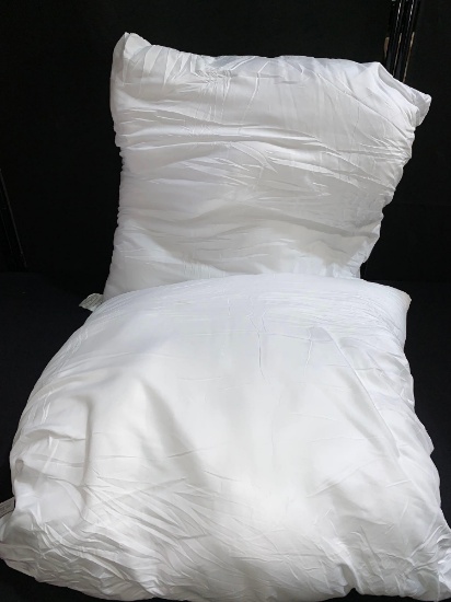 EDOW Throw Pillows Set Of 2