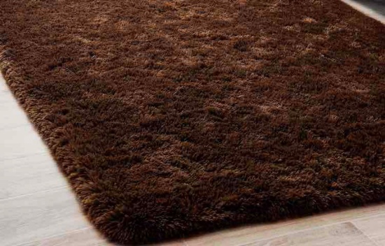 LOCHAS Luxury Shag Rug Fluffy Coffee