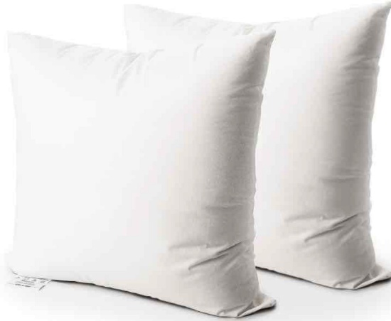 EDOW Throw Pillow Insert Set of 2