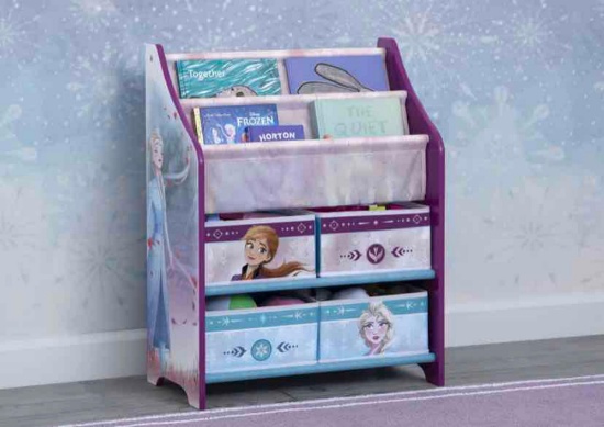 Delta Children Frozen II Toy and Book Organizer