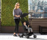Delta Children The Clutch Stroller