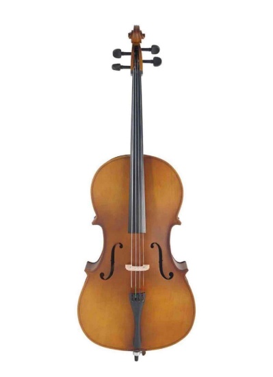Eastar Acoustic Cello